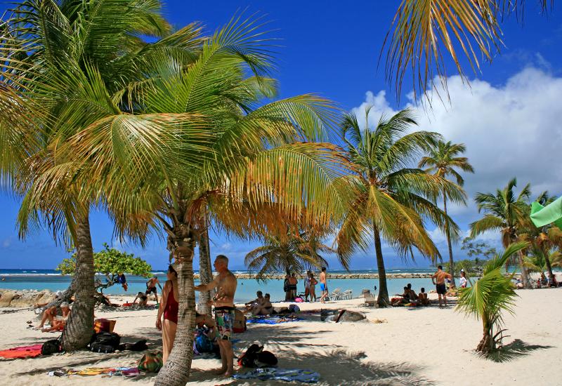 Impact de l’épidémie de Covid-19 sur les entreprises de Guadeloupe - Focus sur le secteur touristique