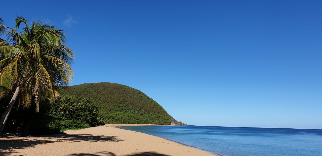 les-guadeloupeens-et-le-tourisme-juil20