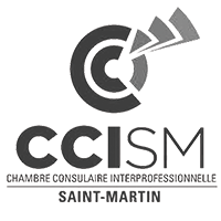 CCISM