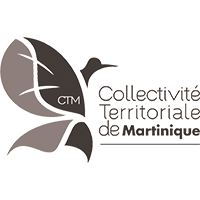 CTM
